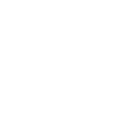 Turbolearn logo